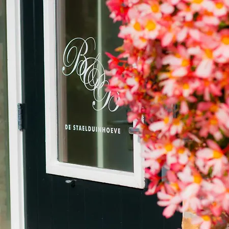 펜션 De Staelduinhoeve *