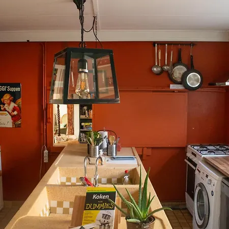 De Staelduinhoeve 펜션 스흐라벤잔더